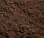 Topsoil